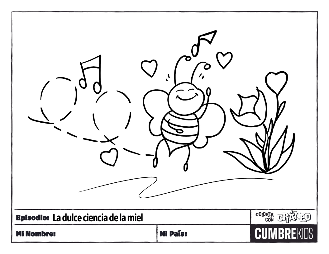 Página para colorear: La dulce ciencia de la miel