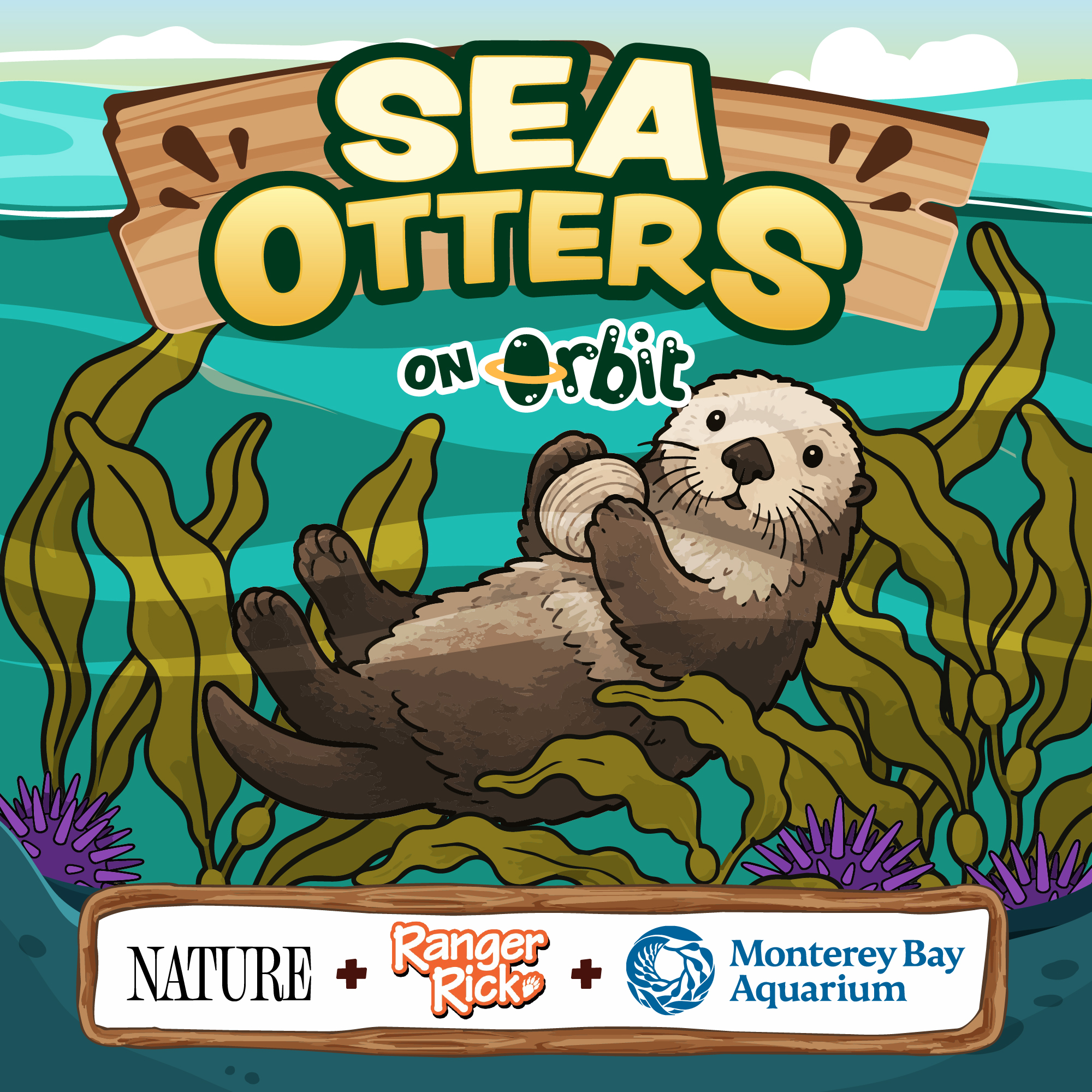 How sea otters protect kelp forests!